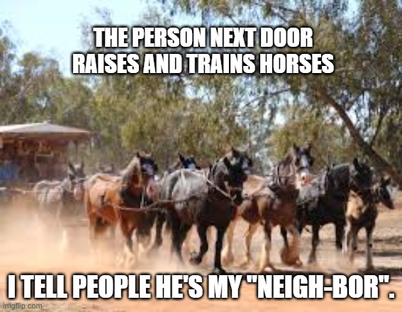 Next door, they raise horses. I tell everyone that they are my neigh-bors. | The person next door raises and trains horses; I tell people he's my "neigh-bor". | image tagged in fun,humor,horses,play on words,funny meme | made w/ Imgflip meme maker