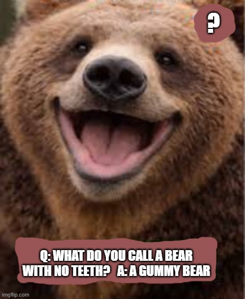 What do you call a bear with no teeth?    --  funny  -- | ? Q: What do you call a bear with no teeth?   A: A gummy bear | image tagged in funny,humor,bear,play on words,funny meme,teeth | made w/ Imgflip meme maker