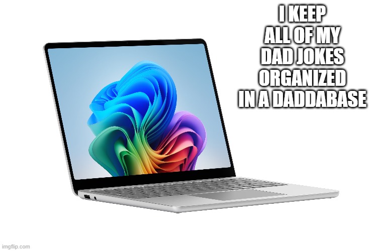 I keep all of my dad jokes on my computer in a "dadabase". | I keep all of my dad jokes organized in a daddabase | image tagged in funny,humor,dad jokes,computer,jokes | made w/ Imgflip meme maker