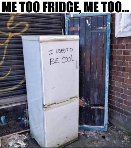 Me Too Fridge, Me Too... | Me too fridge, me too... | image tagged in chrisjoines1 | made w/ Imgflip meme maker