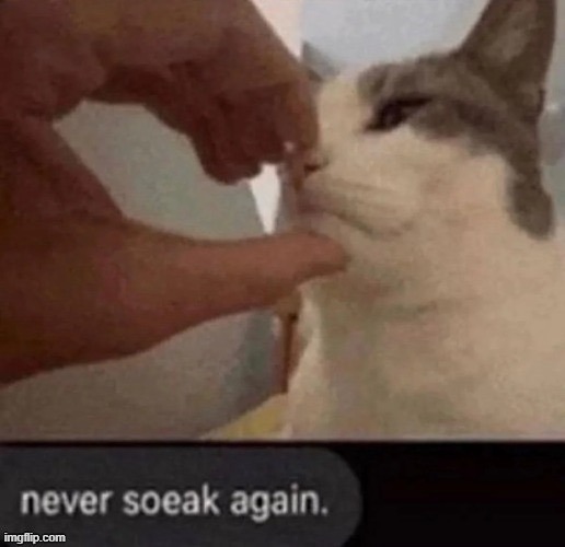 Never soeak again | image tagged in never soeak again | made w/ Imgflip meme maker