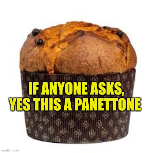 Our Italian Christmas specialty | If anyone asks, yes this a panettone | image tagged in panettone | made w/ Imgflip meme maker