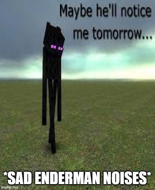 *Sad Enderman noises* | made w/ Imgflip meme maker