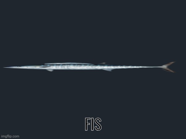 Fis | made w/ Imgflip meme maker