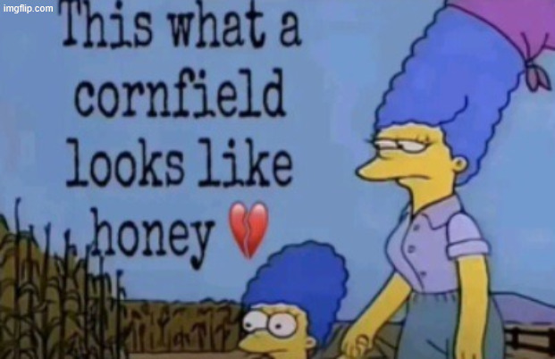 image tagged in this is what a cornfield looks like honey | made w/ Imgflip meme maker