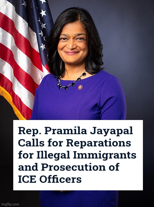 They can't be reasoned with , they can't be bargained with | image tagged in illegal immigrants,in government,who voted for this,the squad,hating america | made w/ Imgflip meme maker