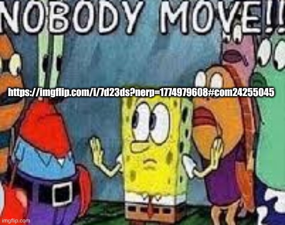 NOBODY MOVE!! | https://imgflip.com/i/7d23ds?nerp=1774979608#com24255045 | image tagged in nobody move | made w/ Imgflip meme maker