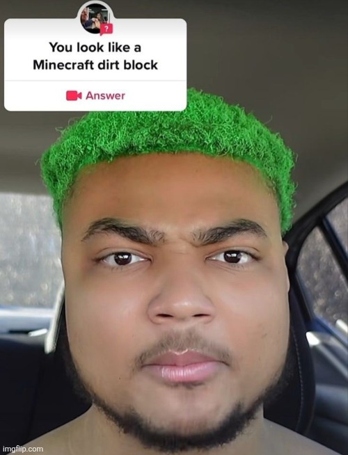 image tagged in insults,funny,minecraft,dirt,dirt block,hair | made w/ Imgflip meme maker