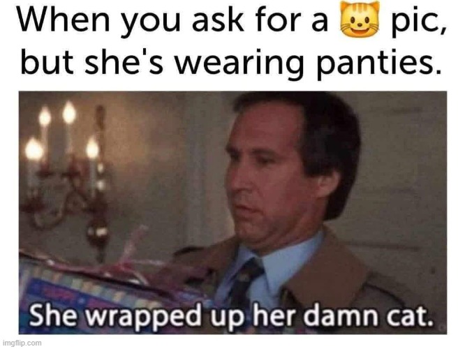 Wrap the Cat | image tagged in sex jokes | made w/ Imgflip meme maker