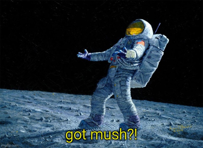 got mush?! | image tagged in astronaut | made w/ Imgflip meme maker