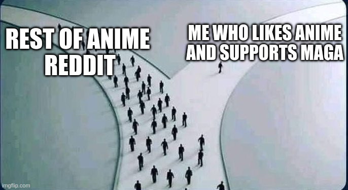 two paths | me who likes anime
and supports maga; rest of anime 
reddit | image tagged in two paths | made w/ Imgflip meme maker