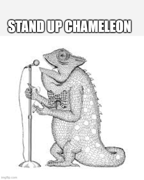 Stand Up Chameleon | made w/ Imgflip meme maker