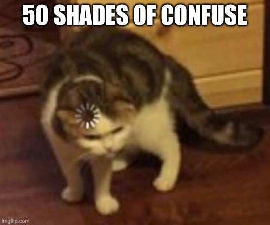 Loading cat | 50 shades of confuse | image tagged in loading cat | made w/ Imgflip meme maker