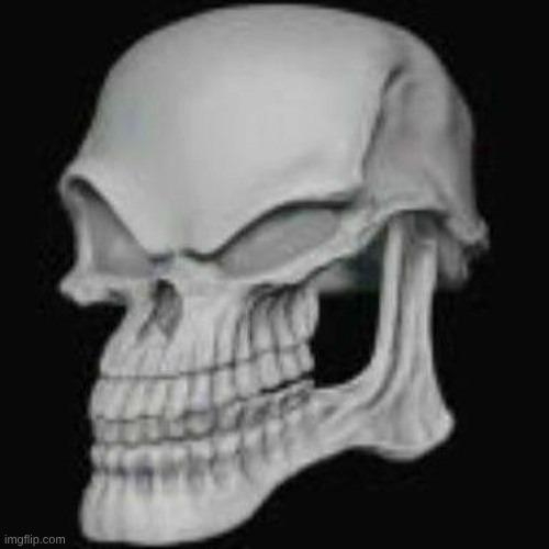 image tagged in bad to the bone skull | made w/ Imgflip meme maker