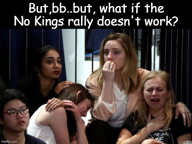 Only the next election will tell.... | But,bb..but, what if the No Kings rally doesn't work? | image tagged in stupid libtards | made w/ Imgflip meme maker