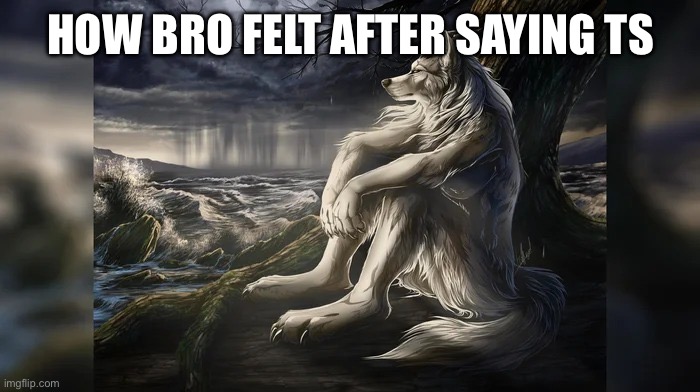 How bro felt after saying ts | image tagged in sigma wolf | made w/ Imgflip meme maker