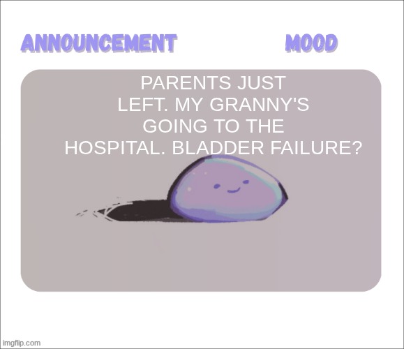 Hopefully she'll be okay | parents just left. my granny's going to the hospital. bladder failure? | image tagged in petrock's temp | made w/ Imgflip meme maker