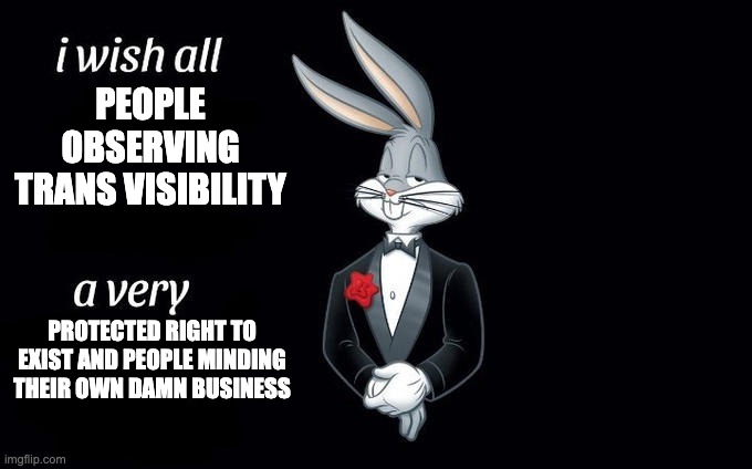 I wish all x a very y | people observing trans visibility; protected right to exist and people minding their own damn business | image tagged in i wish all x a very y | made w/ Imgflip meme maker