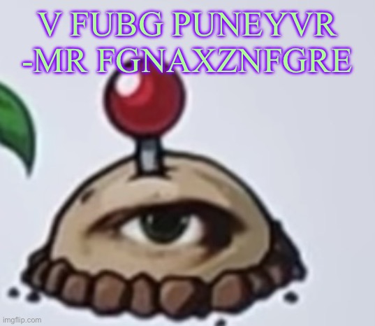 the potato | V FUBG PUNEYVR

-MR FGNAXZNFGRE | image tagged in the potato | made w/ Imgflip meme maker