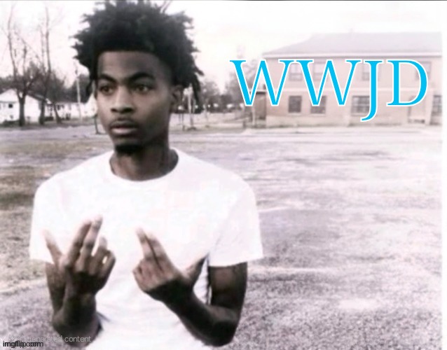 Have a good day | WWJD | image tagged in sybau blank with positioned text | made w/ Imgflip meme maker