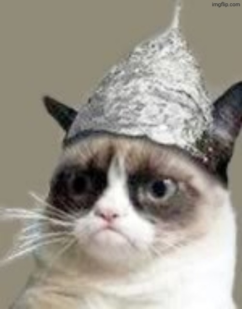 Grumpy Cat Tin Foil | image tagged in grumpy cat tin foil | made w/ Imgflip meme maker