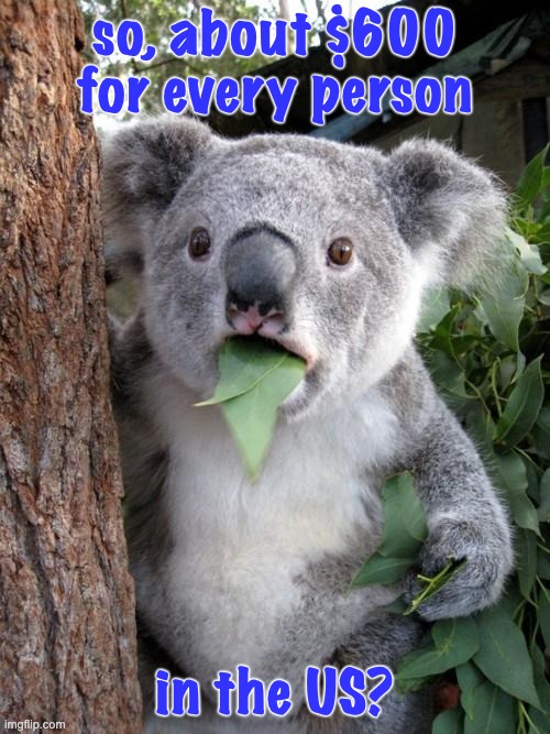 Surprised Koala Meme | so, about $600 for every person in the US? | image tagged in memes,surprised koala | made w/ Imgflip meme maker