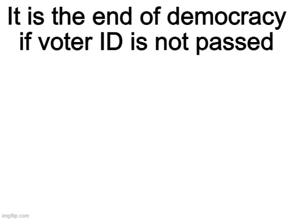Bullsye | It is the end of democracy if voter ID is not passed | image tagged in memes,funny,voting,politics,political meme | made w/ Imgflip meme maker