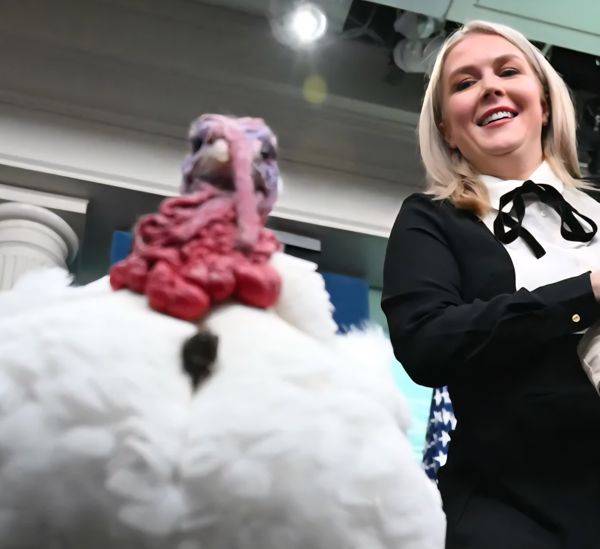 Turkey Neck Karoline Blank Meme Template