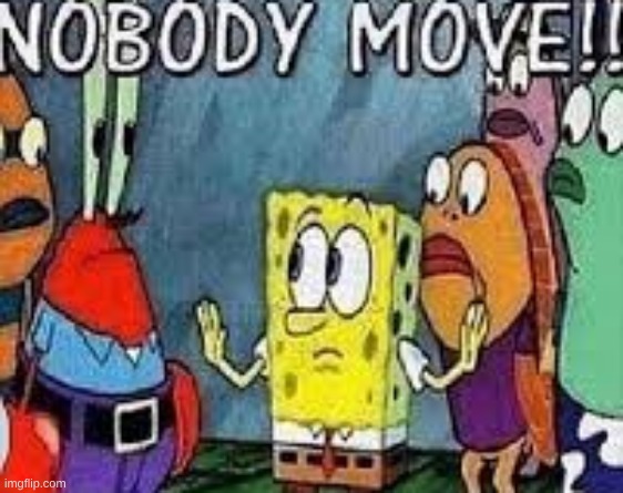 NOBODY MOVE!! | image tagged in nobody move | made w/ Imgflip meme maker