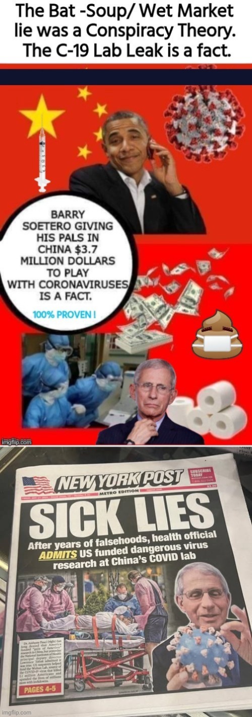 Coronapocalyspe was Dingle Barry's fault Blank Meme Template