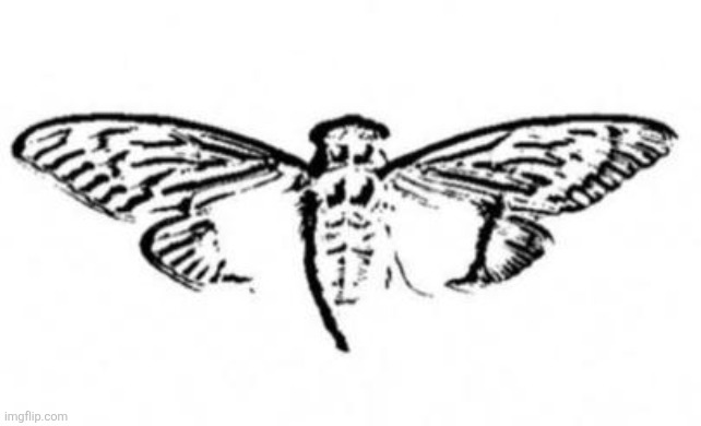 Read comment | Https://youtube.com/account/ao34az | image tagged in cicada 3301 | made w/ Imgflip meme maker