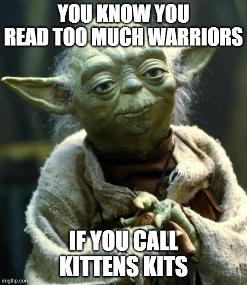 Kits | you know you read too much warriors; If you call kittens kits | image tagged in memes,star wars yoda | made w/ Imgflip meme maker
