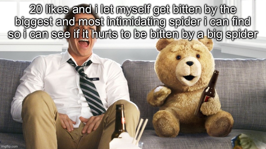 i’ll do it for science | 20 likes and i let myself get bitten by the biggest and most intimidating spider i can find so i can see if it hurts to be bitten by a big spider | image tagged in ted | made w/ Imgflip meme maker