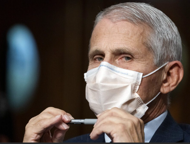 King Fauci Blank Meme Template