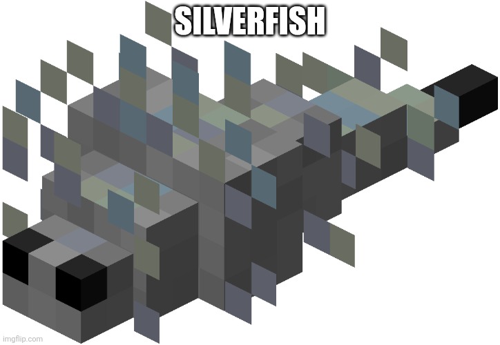 Used in comment | Silverfish | image tagged in silverfish | made w/ Imgflip meme maker