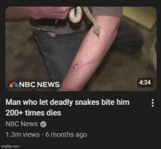 man who let deadly snakes bite him dies | image tagged in man who let deadly snakes bite him dies | made w/ Imgflip meme maker