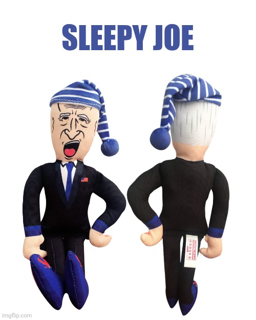 SLEEPY JOE | Sleepy Joe | image tagged in sleepy joe | made w/ Imgflip meme maker