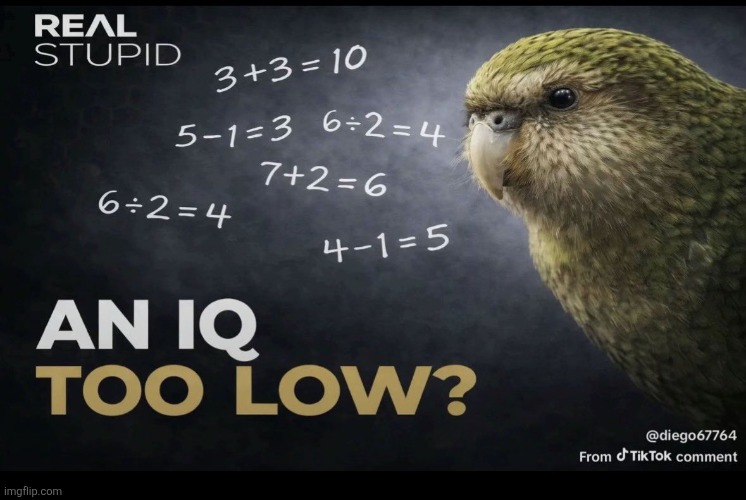 An IQ too low | image tagged in an iq too low | made w/ Imgflip meme maker
