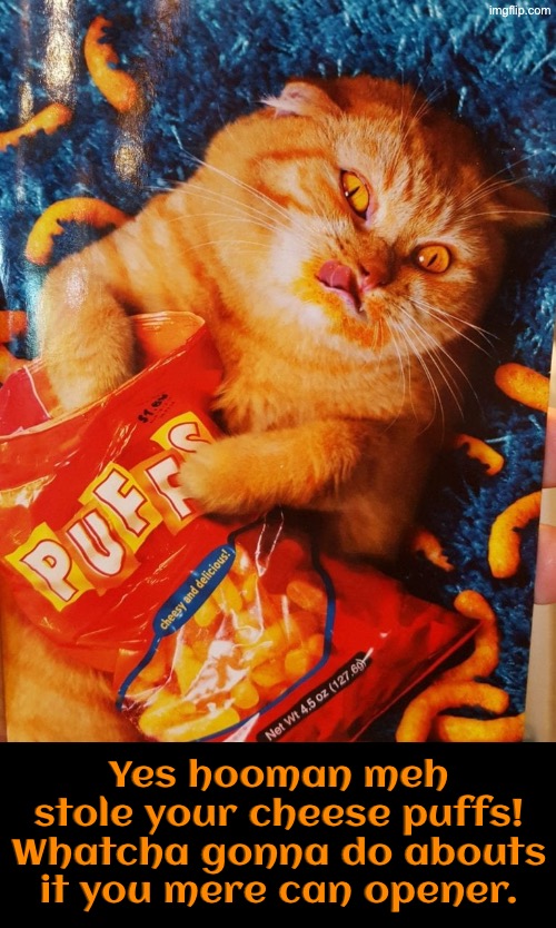 Whatcha Gonna Do Abouts It | Yes hooman meh stole your cheese puffs! Whatcha gonna do abouts it you mere can opener. | image tagged in cats,funny cats,stealing,thief,entitlement,smug | made w/ Imgflip meme maker