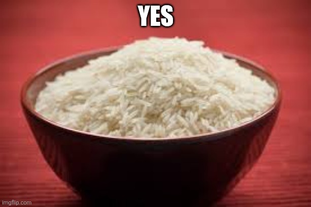 All this rice | Yes | image tagged in all this rice | made w/ Imgflip meme maker