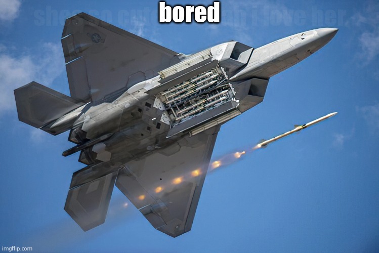 Lockheed Martin F-22 "Raptor" | bored; shes so cute bro gah i love her | image tagged in lockheed martin f-22 raptor | made w/ Imgflip meme maker