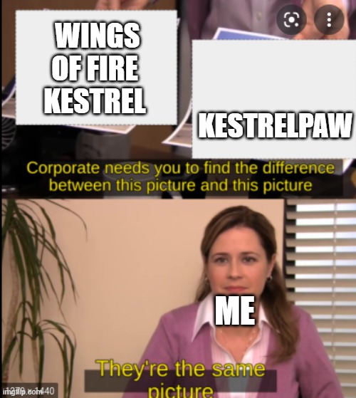 KESTREL? | Wings of Fire Kestrel; Kestrelpaw; Me | image tagged in tell me the difference | made w/ Imgflip meme maker