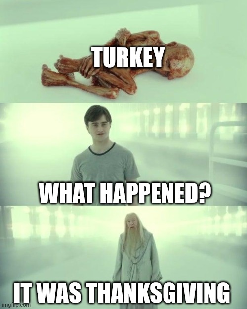 What happened? | Turkey; What happened? It was thanksgiving | image tagged in dead baby voldemort / what happened to him | made w/ Imgflip meme maker