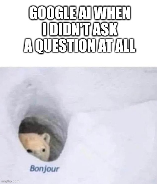 LIKE BRO GET OUT OF MY FACE I DON'T NEED YOU | Google ai when I didn't ask a question at all | image tagged in bonjour | made w/ Imgflip meme maker