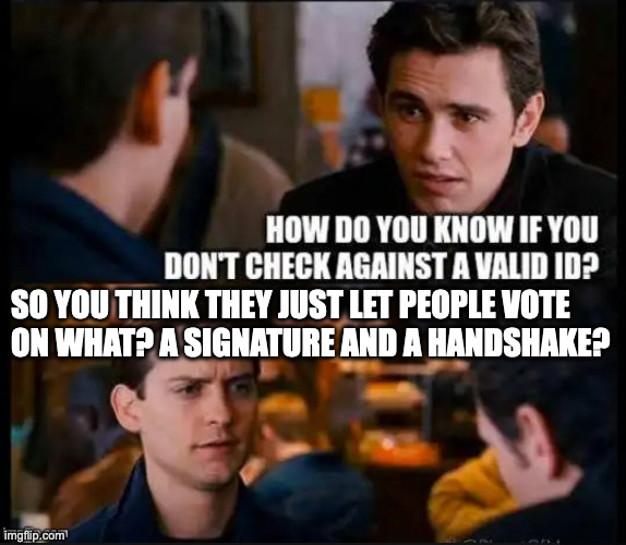 so you think they just let people vote
on what? a signature and a handshake? | made w/ Imgflip meme maker