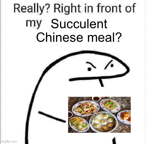 Succulent Chinese meal | Succulent Chinese meal? | image tagged in really right in front of my | made w/ Imgflip meme maker