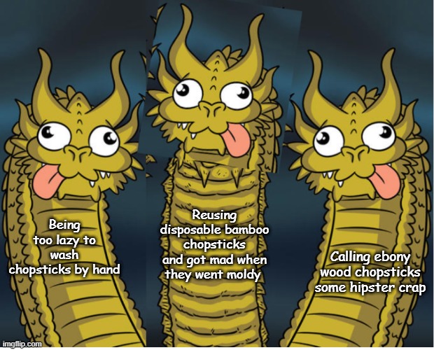 Mindsets of people who needs to put chopsticks in dishwashers no matter what | Reusing disposable bamboo chopsticks and got mad when they went moldy; Calling ebony wood chopsticks some hipster crap; Being too lazy to wash chopsticks by hand | image tagged in triple stupid dragon | made w/ Imgflip meme maker