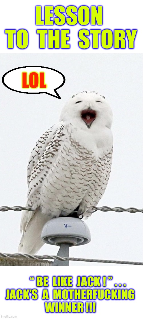 Never Doubt The WISE OLD OWL !!!  LOL.  : ) | Lesson 
 To  the  story; LOL; “ Be  like  Jack ! ” . . .
Jack’s  a  motherfucking
  Winner !!! | image tagged in happy owl,smartass,listen here you little shit bird | made w/ Imgflip meme maker