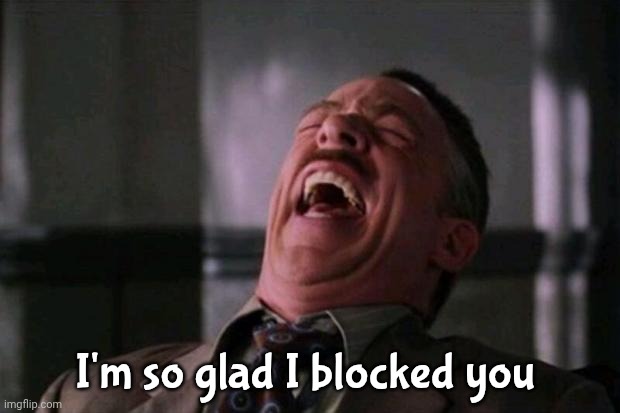 I'm so glad I blocked you | image tagged in spider man boss | made w/ Imgflip meme maker