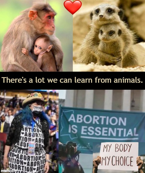 Motherhood: "Going through life with your heart outside your body." — Jennifer Weiner | There's a lot we can learn from animals. | image tagged in liberals vs conservatives,we are not the same,animals,love,choices,adulting | made w/ Imgflip meme maker